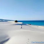 Vacanze 