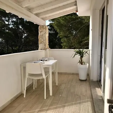 Vacanze 