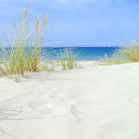 Vacanze 