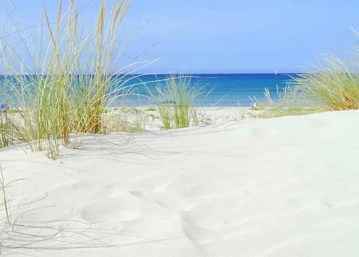 Vacanze 